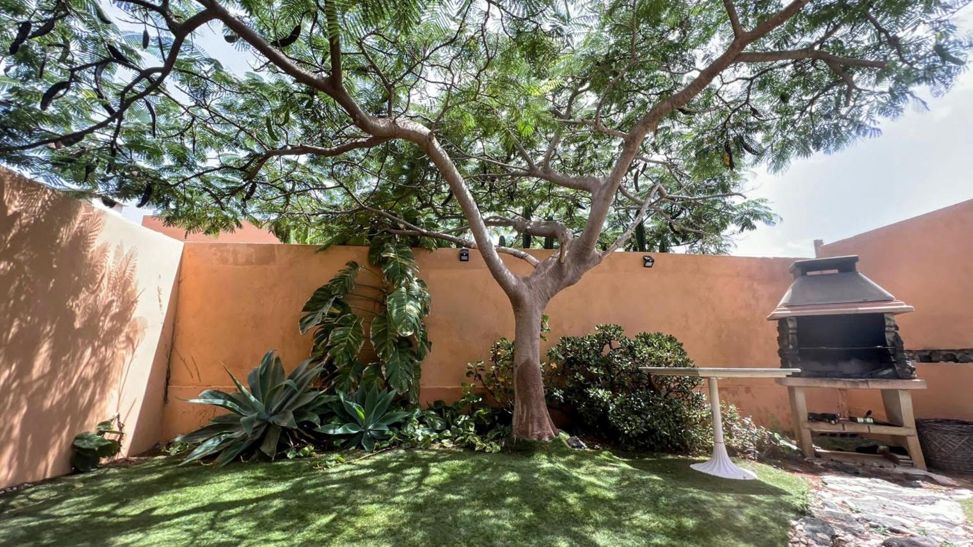 Vivienda Vacacional Orquidea كوراليهو المظهر الخارجي الصورة